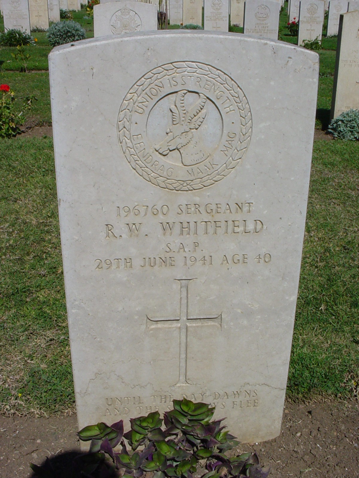 Photo from /search/photos/Egypt/FAYID WAR CEMETERY/FAYID WAR CEMETERY_whitfield_rw.JPG